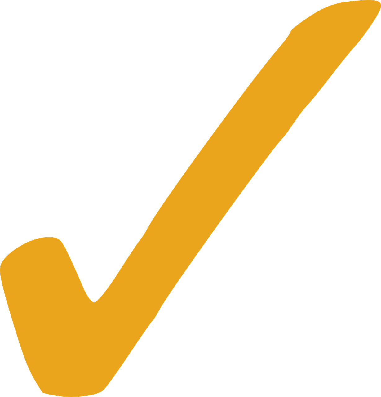 Image of check mark next to accountability
